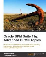 Oracle Bpm Suite 11g