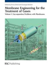 Membrane Engineering for the Treatment of Gases: Gas-Separation Problems with Membranes