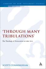 Through Many Tribulations: The Theology of Persecution in Luke-Acts