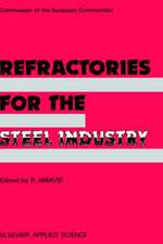 Refractories for the Steel Industry