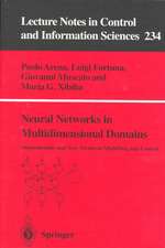 Neural Networks in Multidimensional Domains: Fundamentals and New Trends in Modelling and Control