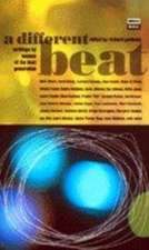 A Different Beat: Writings by Women of the Beat Generation