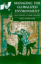 Managing the Globalized Environment