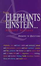 From Elephants to Einstein . . .: Answers to Questions