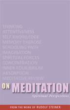 On Meditation: Spiritual Perspectives