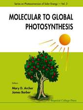 Molecular to Global Photosynthesis