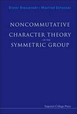 Noncommutative Character Theory of the Symmetric Group