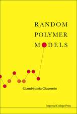 Random Polymer Models