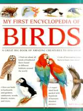 My First Encylopedia of Birds (giant Size)