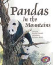 Pandas in the Mountains PM Gold Set C