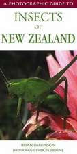 A Photographic Guide to Insects of New Zealand