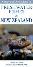 A Photographic Guide to Freshwater Fishes of New Zealand