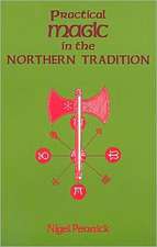 Practical Magic in the Northern Tradition