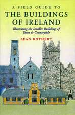 A Field Guide to the Buildings of Ireland: Illustrating the Smaller Buildings of Town & Count