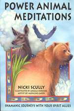 Power Animal Meditations: Shamanic Journeys with Your Spirit Allies