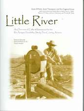 Little River: An Overview of Cultural Resources for the Río Antiguo Feasibility Study, Pima County, Arizona