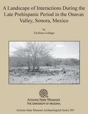 A Landscape of Interactions During the Late Prehispanic Period in the Onavas Valley, Sonora, Mexico