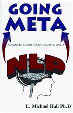 Nlp Going Meta: Advanced Modeling Using Meta-Levels