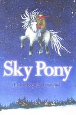 Sky Pony