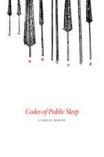 Codes of Public Sleep