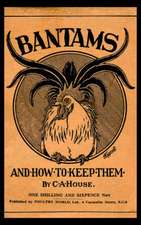 Bantams and How to Keep Them (Poultry Series - Chickens)