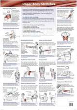 3 Chart Set: Upper Body, Lower Body, Neck/Back/Cor e