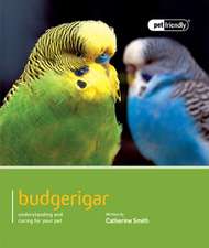 Budgerigar