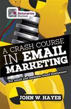 A Crash Course in Email Marketing for Small and Medium-Sized Businesses: A Step-By-Step Guide to Growing Your Business Online