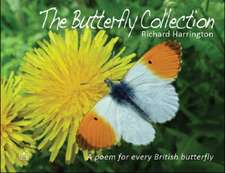 The Butterfly Collection