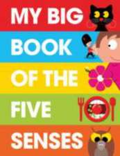 My Big Book of the Five Senses