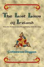 The Lost Laws of Ireland