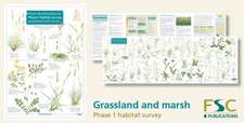 Plant Identification for Phase 1 Habitat Survey: Grassland and Marsh