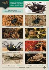 Harvestmen of the British Isles