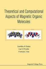 Theoretical and Computational Aspects of Magnetic Organic Molecules: The Cause of Complexity and Symmetry Breaking