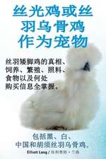 丝光鸡或丝羽乌骨鸡作为宠物. 丝羽矮脚鸡的真相、饲养、繁殖、照料、ཉ