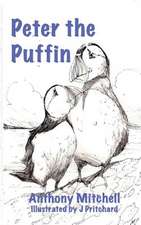 Peter the Puffin