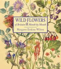 Wild Flowers of Britain