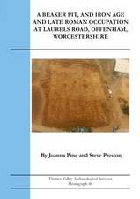 Middle Bronze Age to Middle Iron Age Settlement at New Road, Greenham, West Berkshire