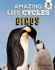 Amazing Life Cycles-Birds