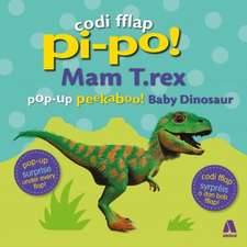 Lloyd, C: Codi Fflap Pi-Po!: Mam T.Rex / Pop-Up Peekaboo Bab