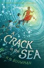 A Crack in the Sea