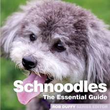 Schnoodles