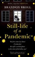 Still-life of a Pandemic