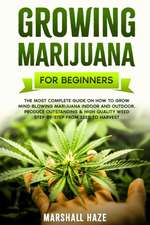 Growing Marijuana for Beginners