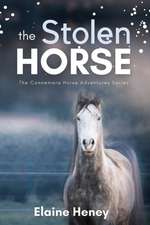 The Stolen Horse - Book 4 in the Connemara Horse Adventure Series for Kids | The Perfect Gift for Children age 8-12