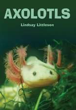 Axolotls