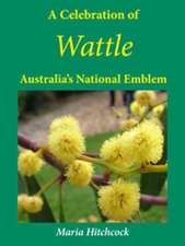 Celebration of Wattle