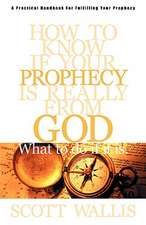 How to Know If Your Prophecy is Really from God: And What to Do If It is