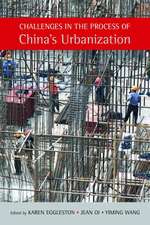 Challenges in the Process of China's Urbanization