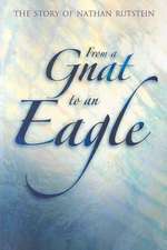 From a Gnat to an Eagle: The Story of Nathan Rutstein